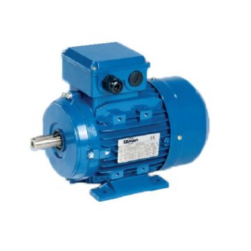Motor electric asincron monofazat 2.2 kW, 1500 rpm, 4ML100 L1 - Cemer Productie Spania