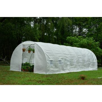Solar Gradina / Sera Legume cu Schelet Metalic 8 x 3 x 2 m Micul Fermier GF-2046