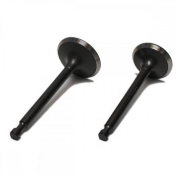 Supapa Admisie+Evacuare Honda Gx 160,Gx 200