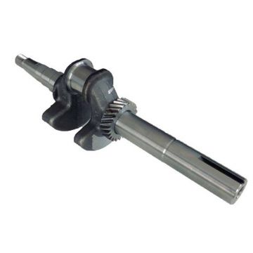 Ambielaj motor Zongshen XP200A,  6,5CP