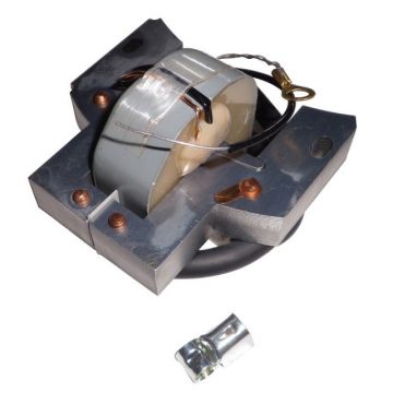 Aprindere Briggs-Stratton 2 - 4cp 298502