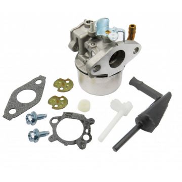 Carburator Briggs-Stratton 798653, 697354, 790290