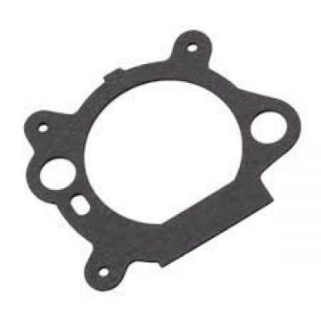 Garnitura Carburator Briggs-Stratton Quantum