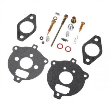 Kit Reparatie Carburator Briggs Stratton 394693, 291763