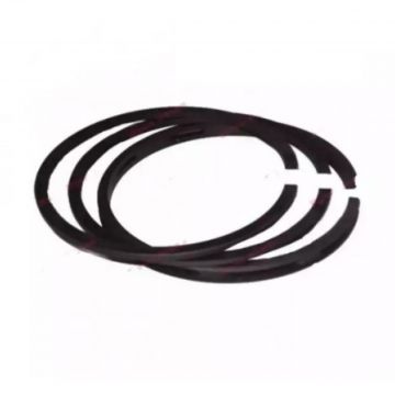 Segmenti motor Briggs - Stratton, 65.11 mm, ( 2 x 1.97, 1 x 4.72 )