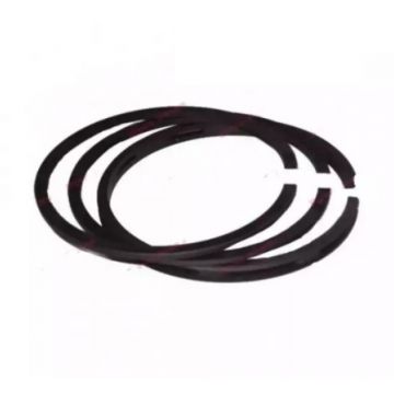 Segmenti motor Briggs - Stratton, 65.11 mm, ( 2 x 1.97, 1 x 4.72 )