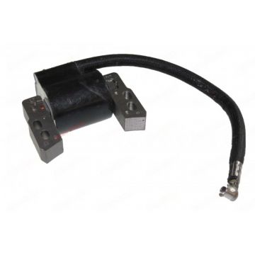 Aprindere Briggs-Stratton 796964