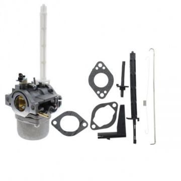 Carburator Briggs-Stratton (696737, 793161, 794593, 796122)