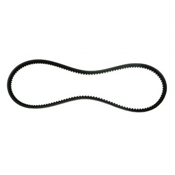 Curea Transmisie Decojitor Busteni Drujba (XPZ-925) - UNIVERSALA