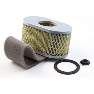 Filtru Aer Briggs - Stratton 797033, 798504