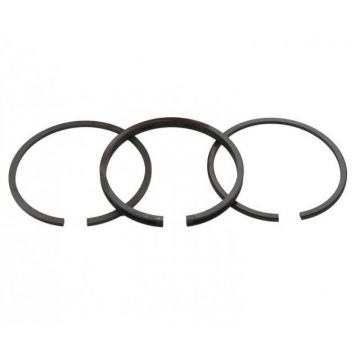 Set Segmenti Piston Briggs- Stratton 65,09mm (2X2X4,75 mm) Caber, Italia