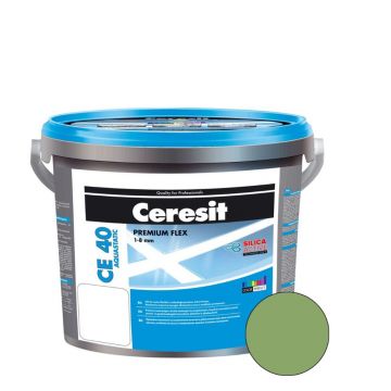 Chit rosturi Ceresit CE 40, interior/exterior, Kiwi, 2 kg