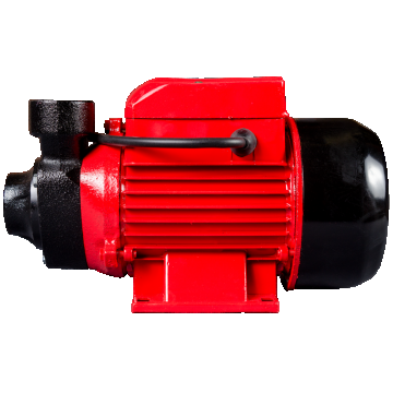 Pompa de apa curata Raider WP60, motor electric, 550 W,  40 l/min debit