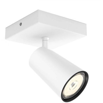 Spot LED Paisley 5.5W White Spot LED Paisley 5.5W White