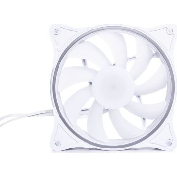 Ventilator Rise Aurora 120mm RGB White