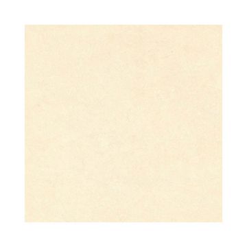 Gresie interior bej Venus Beige, PEI 3, glazurata, finisaj mat, patrata, grosime 8 mm, 60 x 60 cm
