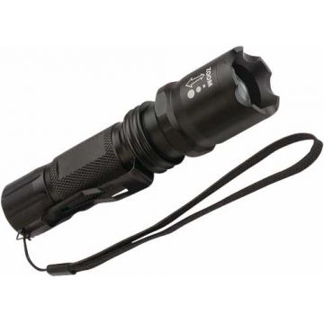 LED Torch 250 lm