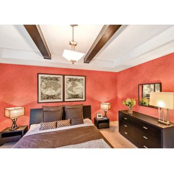 Vopsea decorativa pentru interior, efect ARTECO' 1, finisaj mat