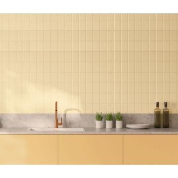 Vopsele decorative pentru interior, efecte CeboKing si CeboSkil, finisaj lucios