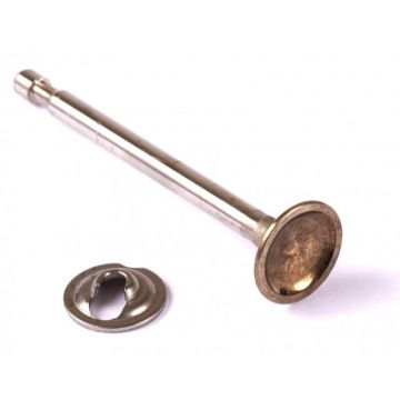 Supapa Evacuare Briggs-Stratton 3.5 CP (296676)