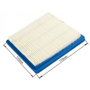 Filtru Aer Briggs - Stratton 3,5 CP, Quantum