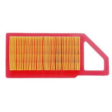 Filtru Aer Masina Tuns Gazon Castelgarden Stiga GGP