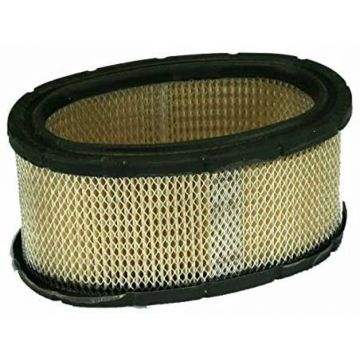 Filtru Aer Motor Briggs-Stratton 11CP (220700, 252700)