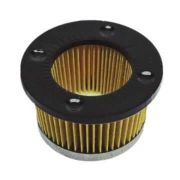 Filtru Aer Tecumseh 3 - 8 CP