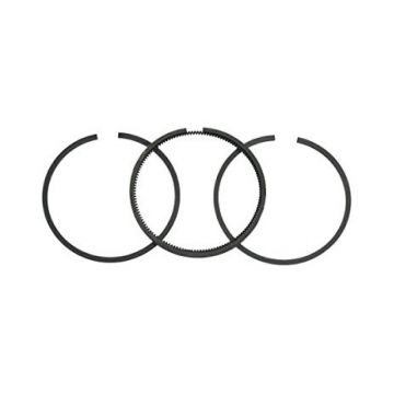 Segmenti Motor BRIGGS - STRATTON 65.10 mm 299742 (3.5CP)