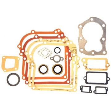 Set Garnituri Motor Briggs and Straton 3.5 CP (seria 298989)