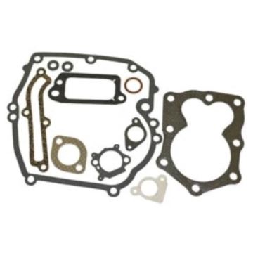 Set Garnituri Motor Briggs and Straton (Seriile 590508, 794307, 497316)