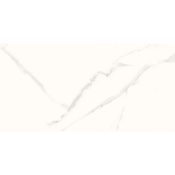 Gresie portelanata rectificata Marmo Silver 59.5 x 119.5 lucioasa
