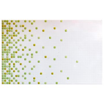 Faianta decorativa Tamara Green  25 x 40
