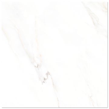 Gresie portelanata rectificata Calacatta White 58 x 58 lucioasa