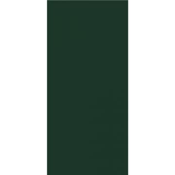 Pal melaminat Egger, color uni, verde brad U699 ST9, 2800 x 2070 x 18 mm