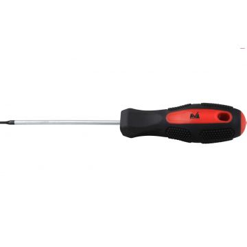 Surubelnita Torx T25, 100 mm Evotools 605145
