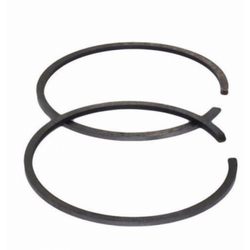 Segmenti pentru motocoasa Ruris 460