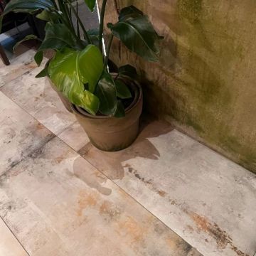 Gresie/Faianta Apavisa Lamiere - Dimensiune 60x60