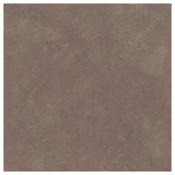 Gresie/Faianta Apavisa Metodo 10 mm - Dimensiune 100x100