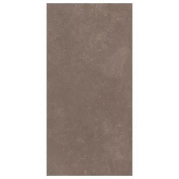 Gresie/Faianta Apavisa Metodo 10 mm - Dimensiune 50x100