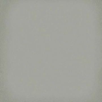 Gresie/Faianta Vives Brenta Mat 20x20 - Dimensiune 20x20 cm
