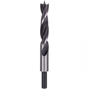 Bosch  2609255212 - Burghiu lemn cu varf ascutit 15x100x160 mm