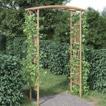 Gossi arcada pentru trandafiri, 118x40x187 cm, bambus