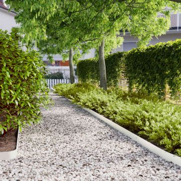 Gossi borduri de gazon 50 buc alb 10x103 cm otel laminat la rece
