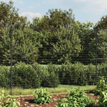 Gossi gard plasa de sarma cu bordura, antracit, 1,6x10 m