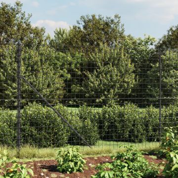 Gossi gard plasa de sarma cu bordura, antracit, 1,8x10 m