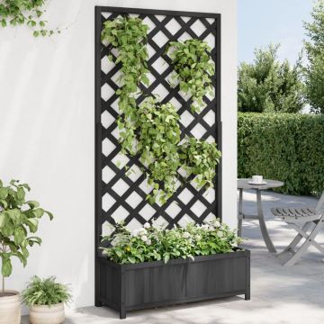Gossi jardiniera cu spalier, negru, lemn masiv de brad