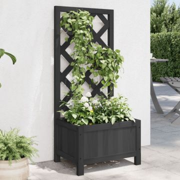 Gossi jardiniera cu spalier, negru, lemn masiv de brad