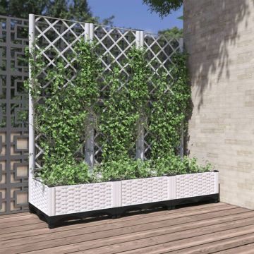 Gossi jardiniera de gradina cu spalier, alb, 120x40x121,5 cm, pp