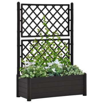 Gossi jardiniera de gradina cu spalier, antracit, 100x43x142, pp